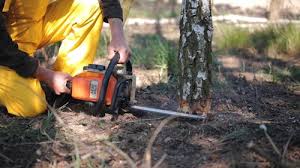 Best Lawn Irrigation Installation and Maintenance  in Southern Pines, NC
