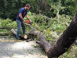 Best Lawn Maintenance Plans  in Southern Pines, NC